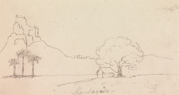 Landscape View with Palm Trees