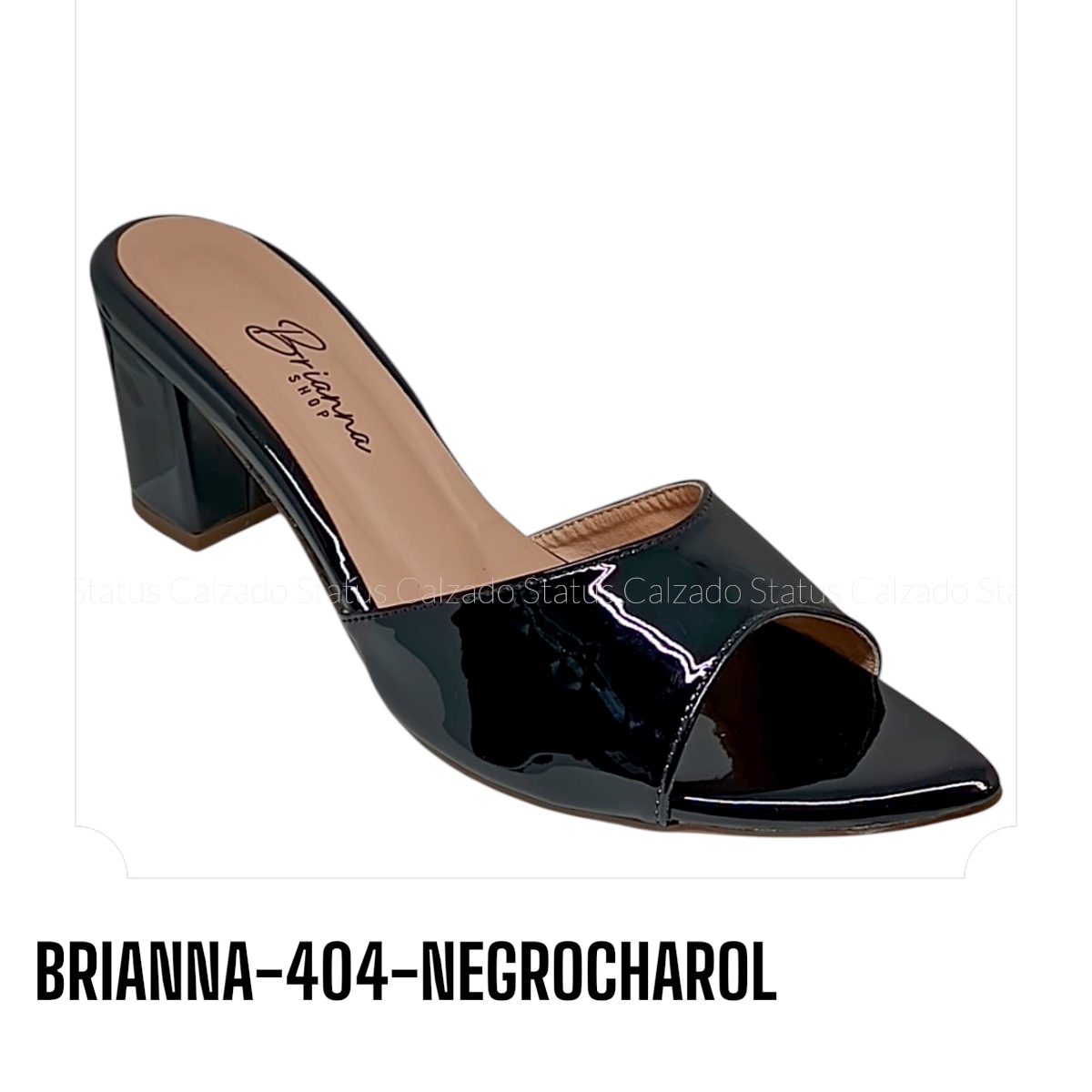 BRIANNA-404-NEGROCHAROL