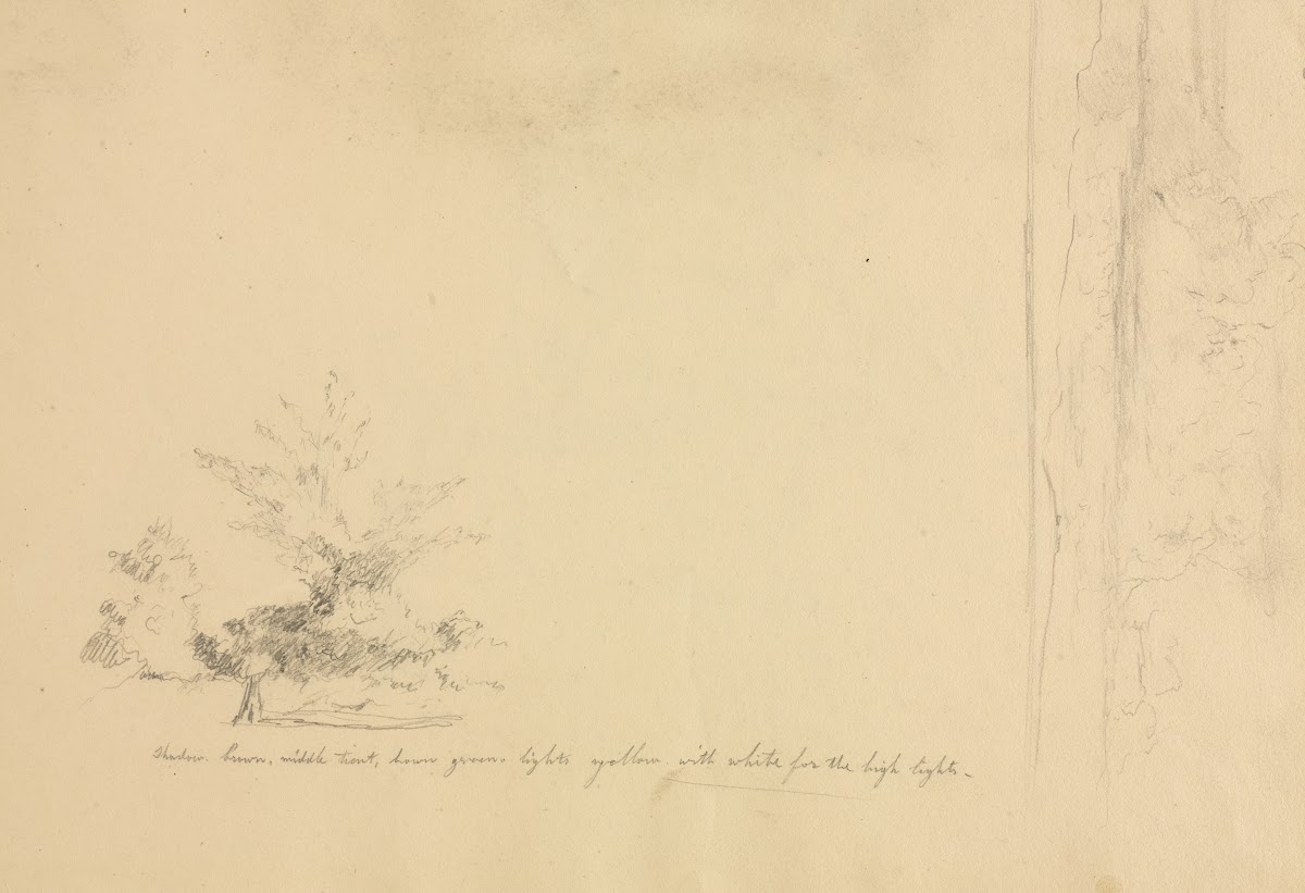 Landscape and Tree Studies verso c 1851