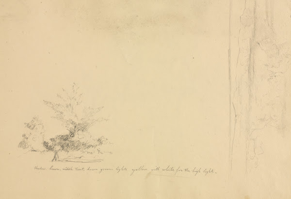 Landscape and Tree Studies verso c 1851