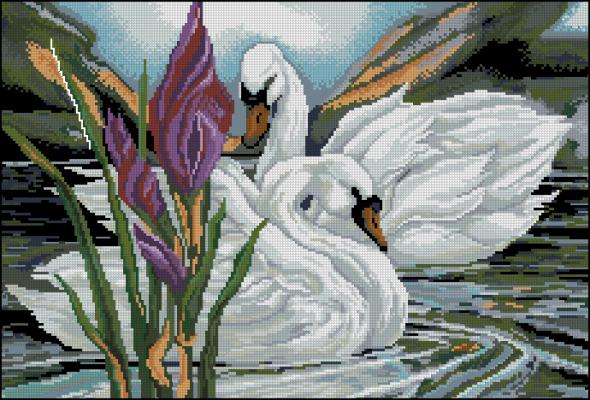 CMP 360051 Perfect Couple