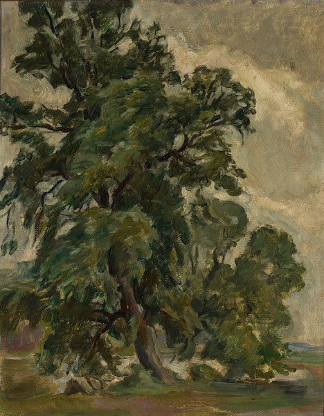 Oak Tree