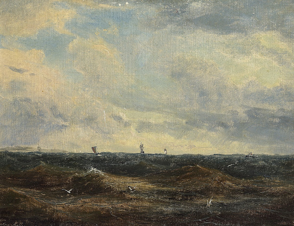 Marine med skibe på havet