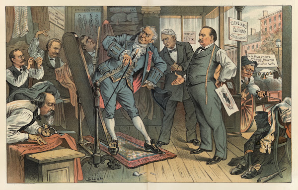 The rehabilitation of the Democratic party 1885