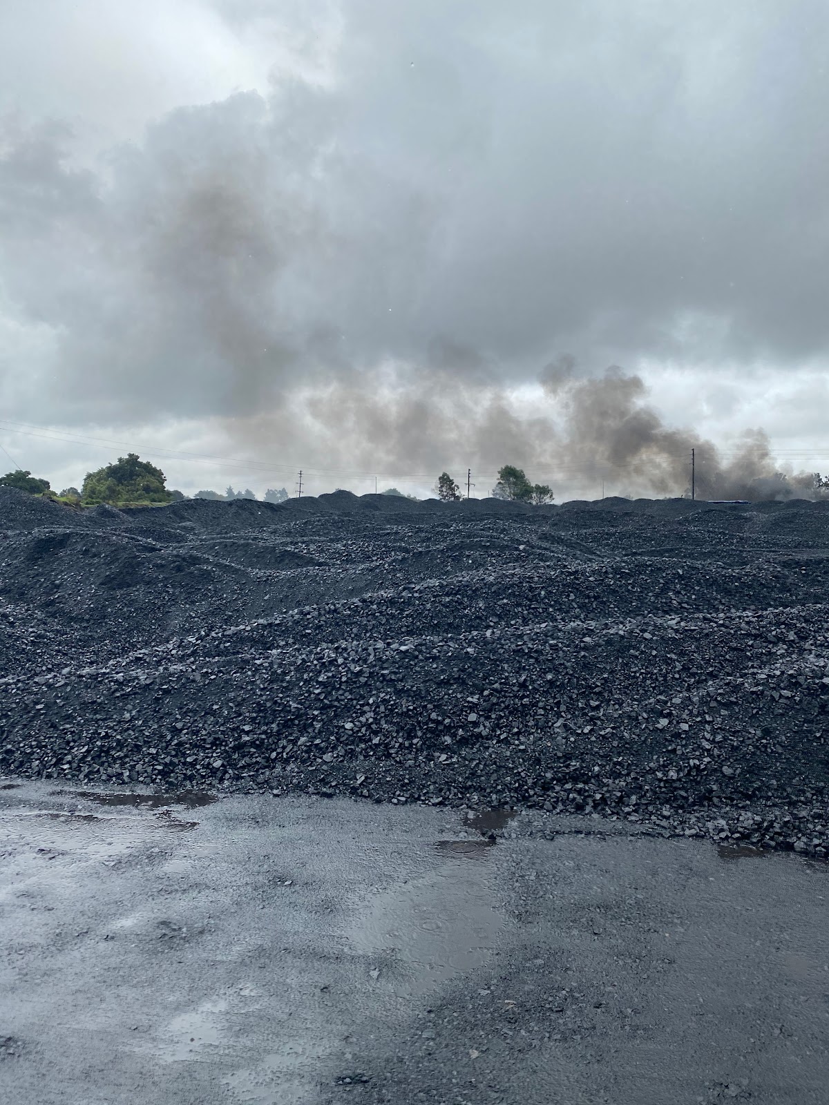 Beneficiated Coal