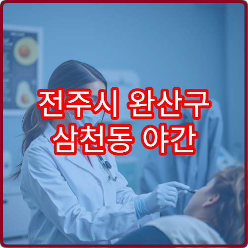 전주시 완산구 삼천동 야간 정신건강의학과 진료 가능한 병원 상담