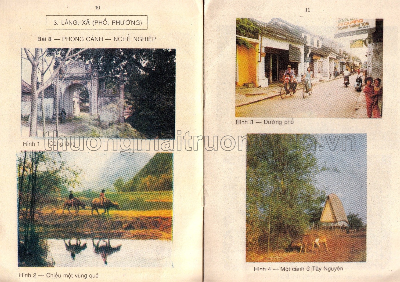 Tự nhiên và xã hội 1 (1993) - Trang 56