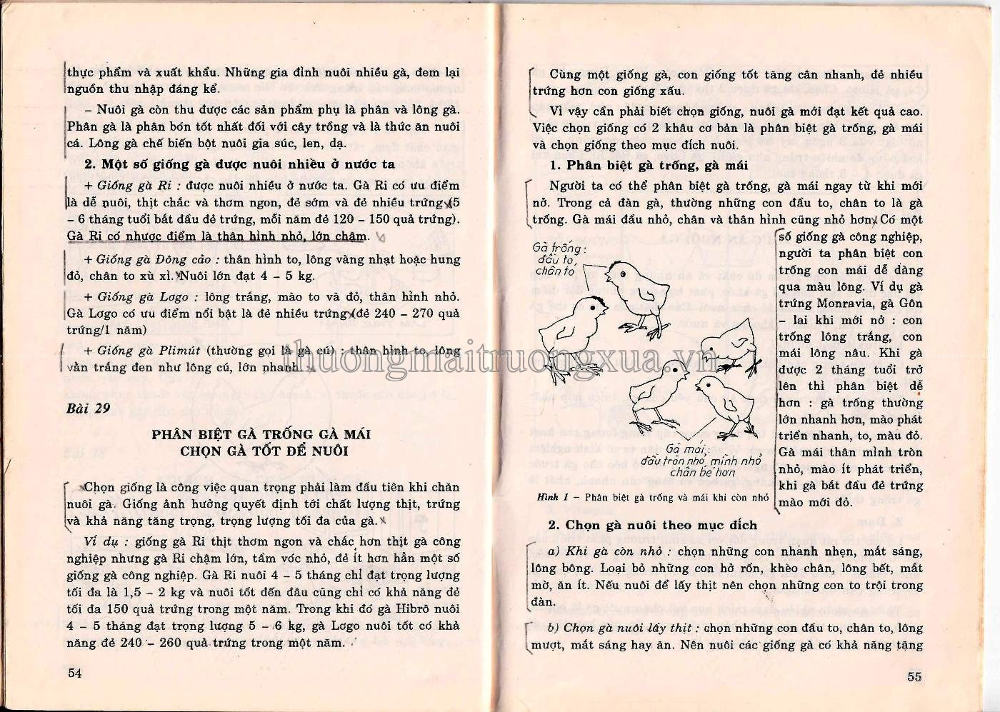 Lao động kỹ thuật 5 (1997) - Trang 28