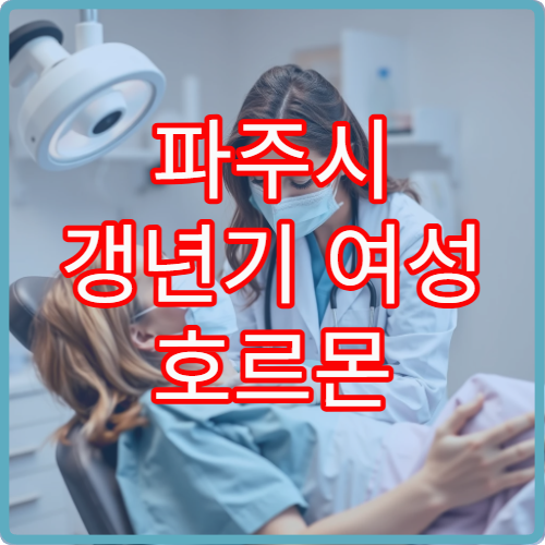 파주시 갱년기 여성 호르몬 변화 검사와 맞춤 치료 상담 가능한 전문 병원