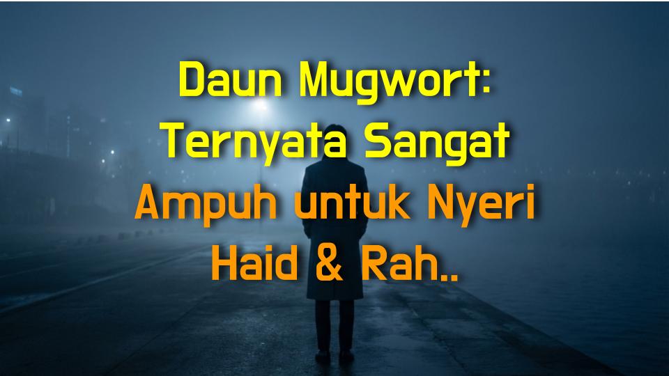 Daun Mugwort: Ternyata Sangat Ampuh untuk Nyeri Haid & Rahim Dingin! (Fakta yang Belum Kamu Tahu)