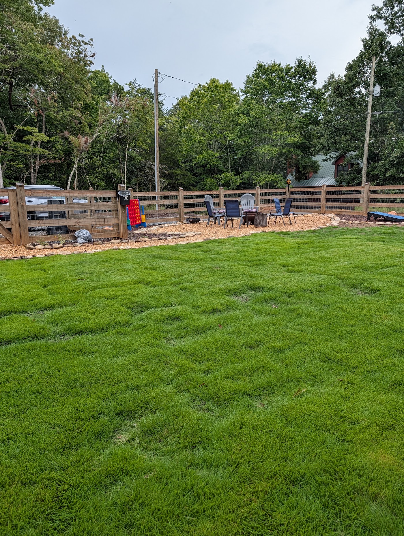 Fenced lawn and fire pit seating area at Orchard & Vine Mountain Haus, dog-friendly cabin in Ellijay, Georgia