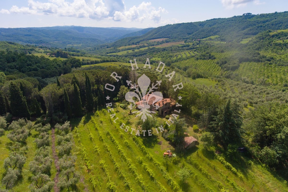 הבית מאחורי הגבעה (Il Casale dietro la Collina) — 18