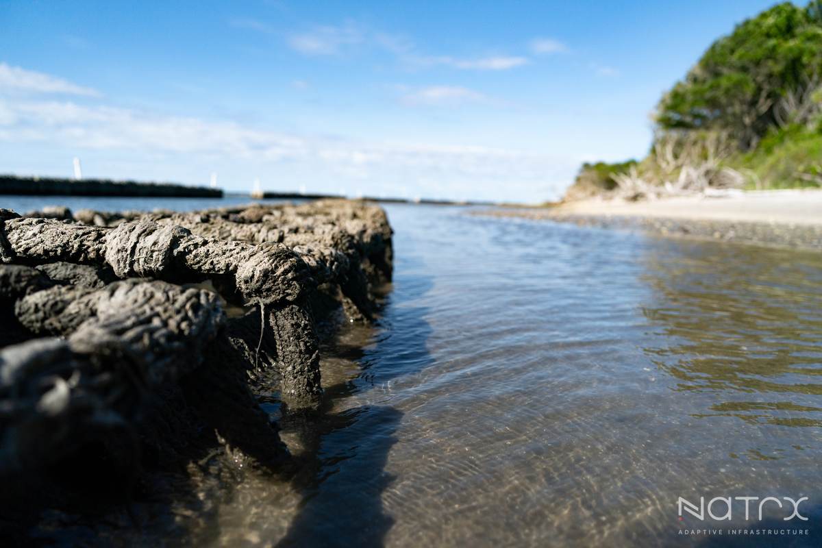 MY PRO PHOTOGRAPHER (167 of 243).jpg