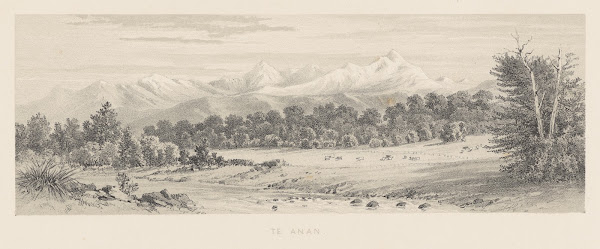 New Zealand Graphic and Descriptive Plate V Te Anau 1877
