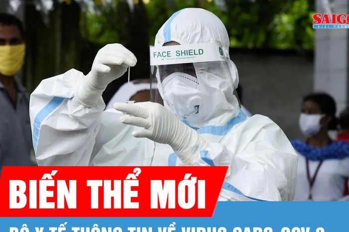 Xuất hiện biến thể mới của virus SARS-CoV-2, Bộ Y tế thông tin gì? - Báo Sài Gòn Giải Phóng