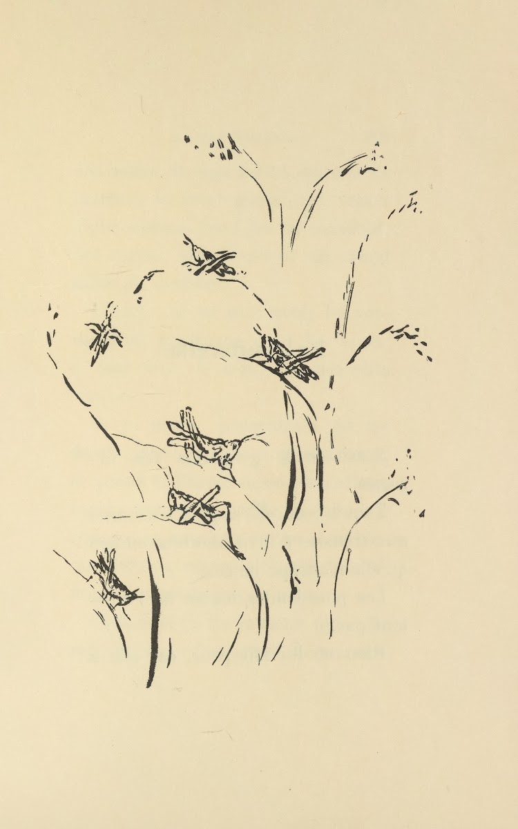 Histoires naturelles Pl 41 1922