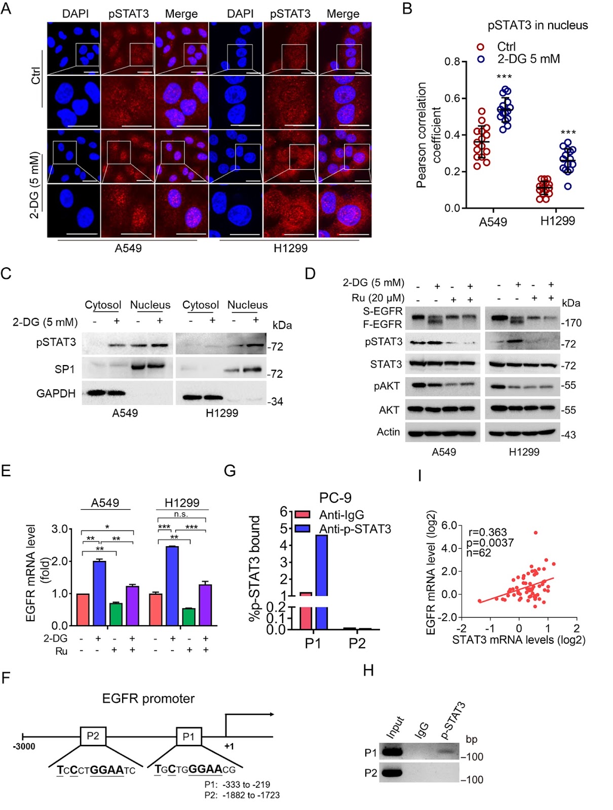 pSTAT3 transactivates EGFR in maintaining EGFR protein homeostasis and EGFR-TKI resistance