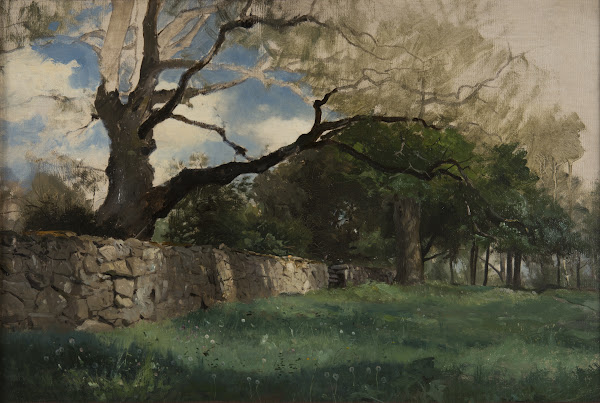 Landscape at Torsebro near Kristianstad 1884