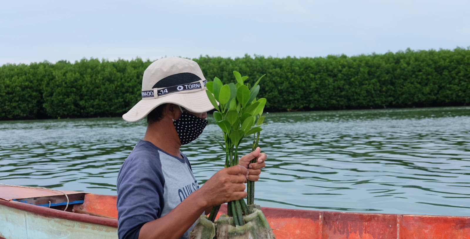 Farmer holding mangrove seed for mangrove restoration. Why reduce carbon footprint, reason to reduce carbon footprint. CarbonEthics Indonesia