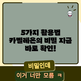카멜레온바스켓 활용법, 카멜레온바스켓 장점, 어떻게 카멜레온바스켓 사용하나, 카멜레온바스켓 추천, 카멜레온바스켓 효율적인 사용법