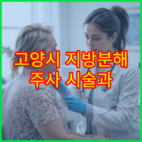 고양시 지방분해 주사 시술과 체형 관리 상담 가능한 병원