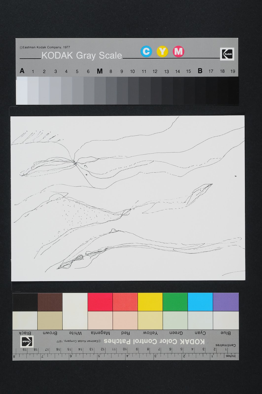 Drawn Poems
