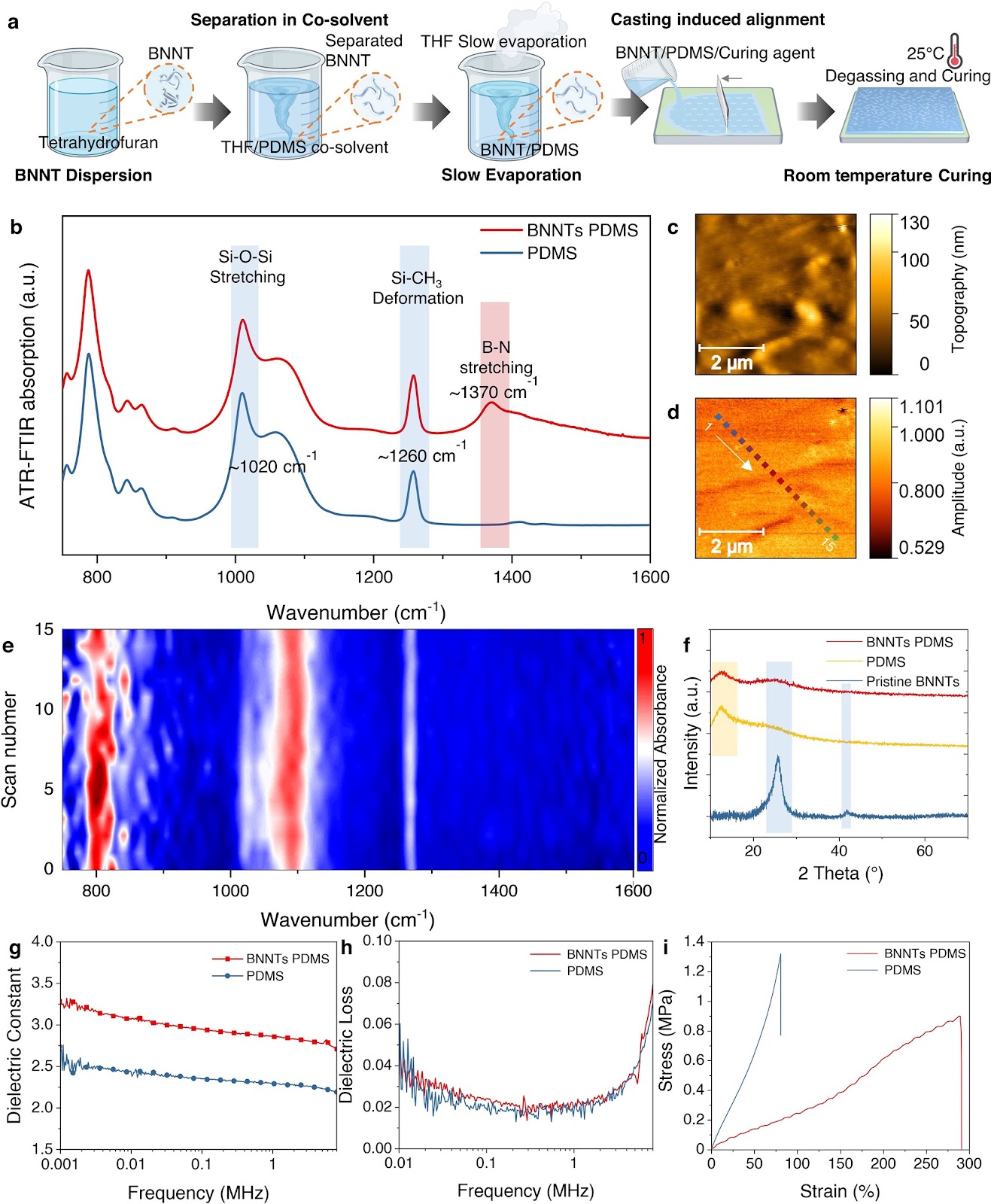AI-Enabled Piezoelectric Wearable for Joint Torque Monitoring