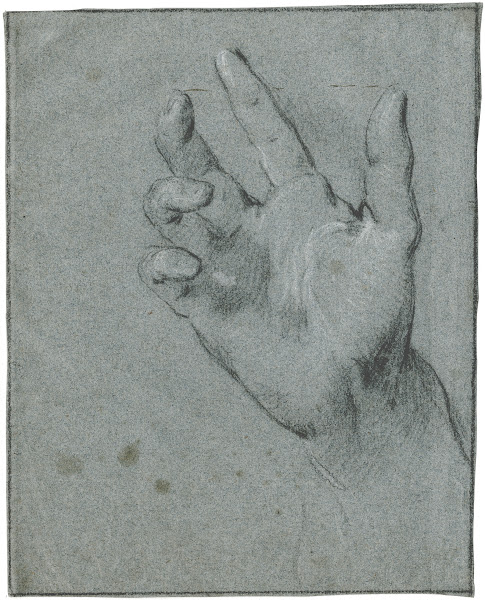 Study of a hand