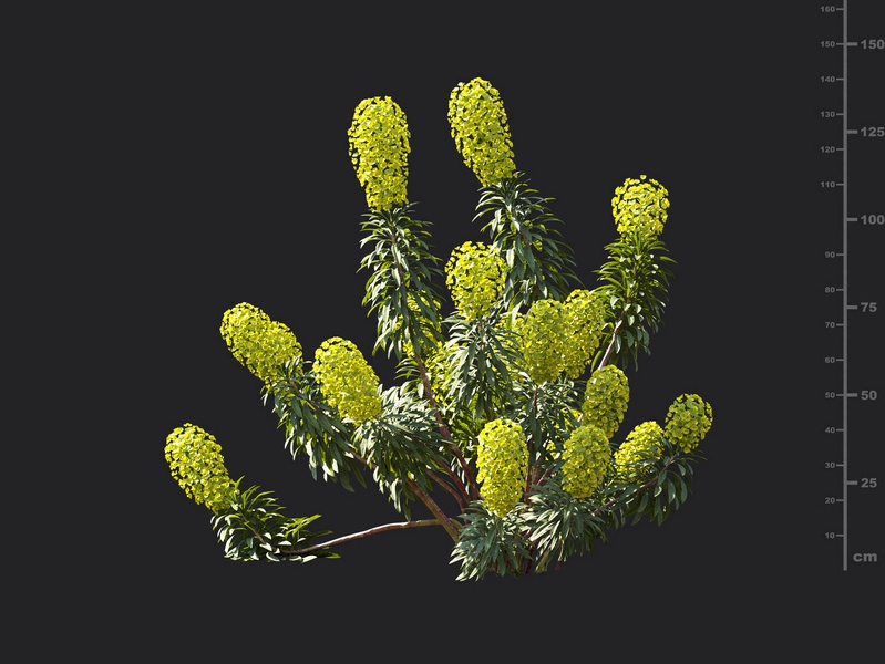 Maxtree - Plant Models Vol.119