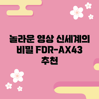 fdr-ax43, 영상 품질, 4K 캠코더, 놀라운 화질, 비디오 촬영