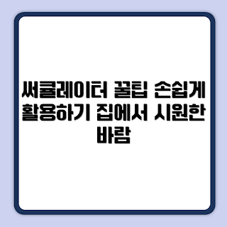써큘레이터 사용법, 써큘레이터 효과, 어떻게 써큘레이터를 활용하나, 왜 써큘레이터가 필요한가