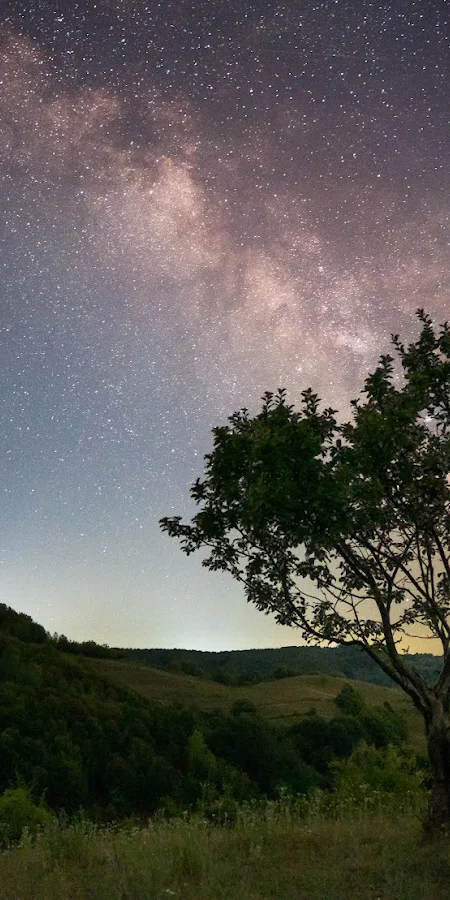 Milky Way, Night Sky, Stars, Landscape 5K Phone Wallpaper