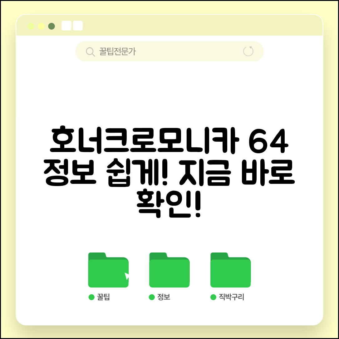 누구나 쉽게 알아보는 호너크로모니카64 정보