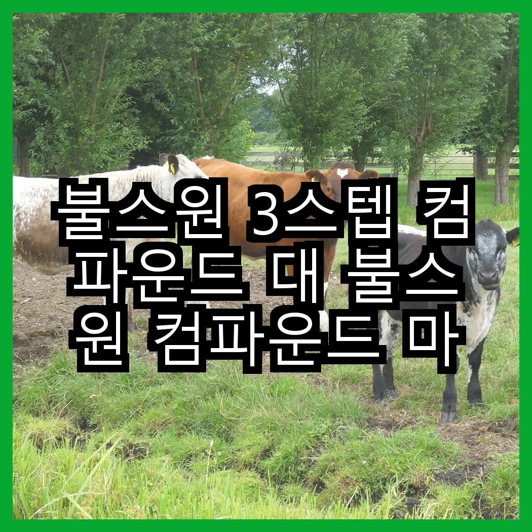 불스원 3스텝 컴파운드 대 불스원 컴파운드 마스터, 어느 쪽이 더 효과적일까? 썸네일