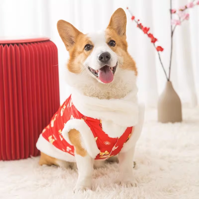 Dog suit in Chinese style, two-piece