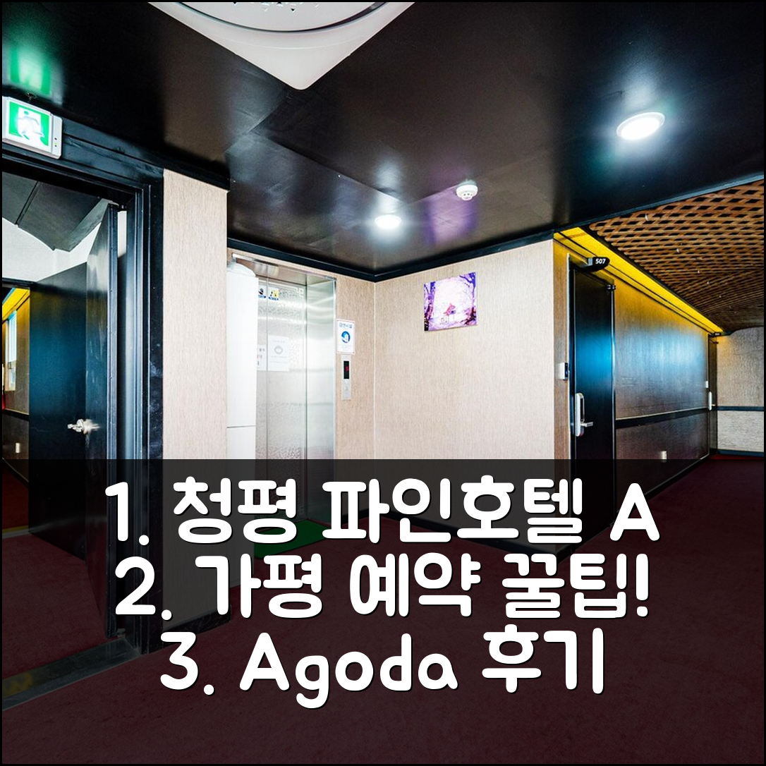 청평 파인호텔 가평 예약 후기 꿀팁! - 아고다 호텔 추천