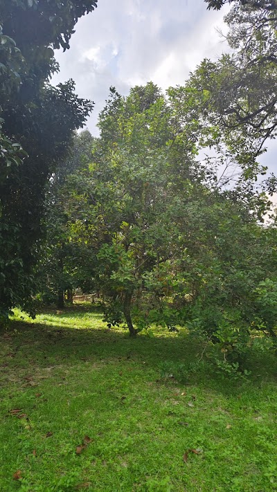Tanah Pertanian Kg Sungai Buah, Dengkil — foto 7/10