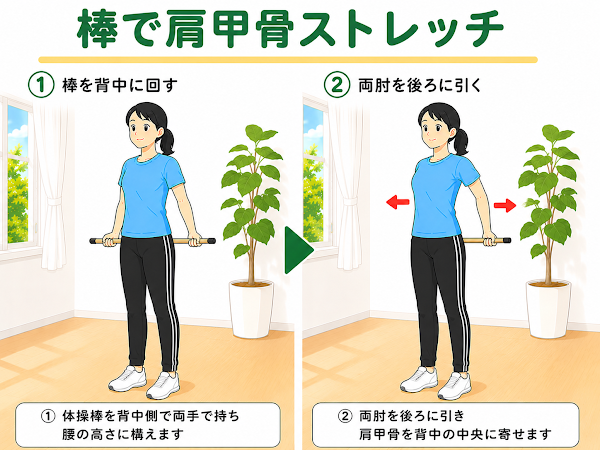 棒で肩甲骨ストレッチ