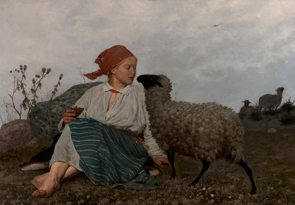 Pasture land