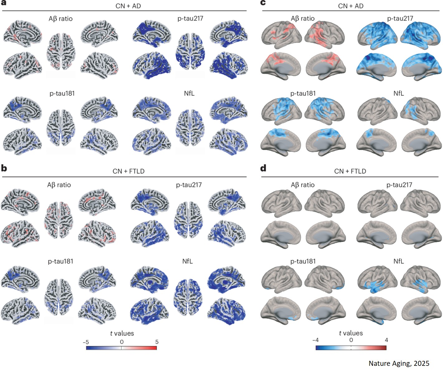 Blood-based tests show strong promise for dementia diagnosis