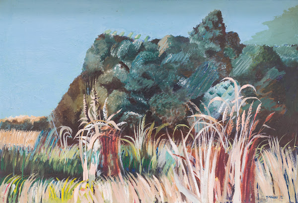 Landscape 1972