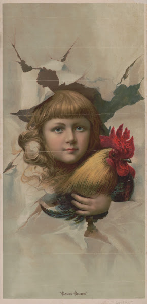Early birds 1892