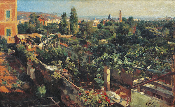 The Grapevines 1898