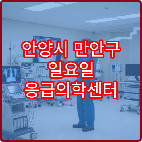 안양시 만안구 일요일 응급의학센터 진료 병원 중증응급 상담 가능