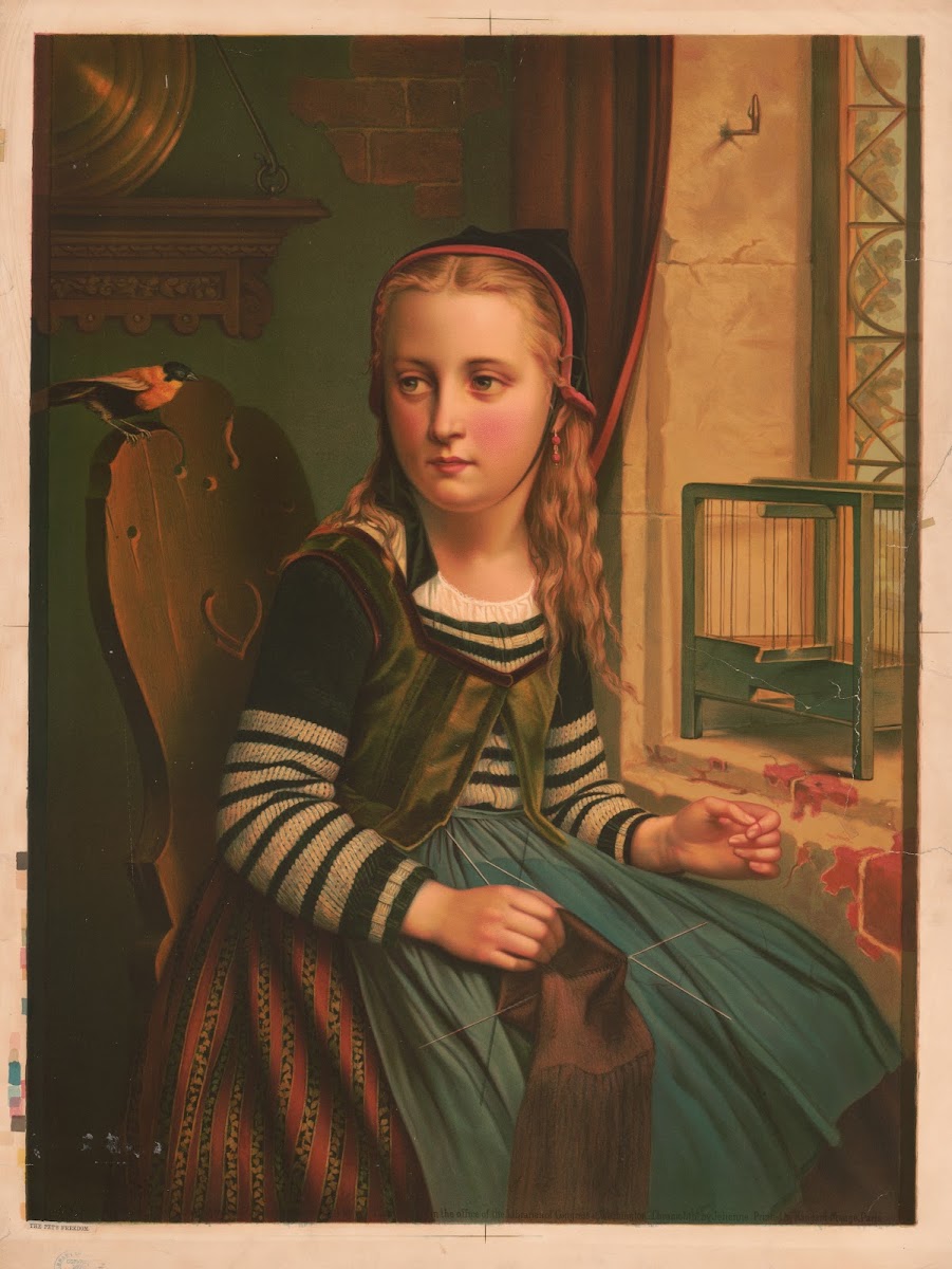 The pets freedom 1874