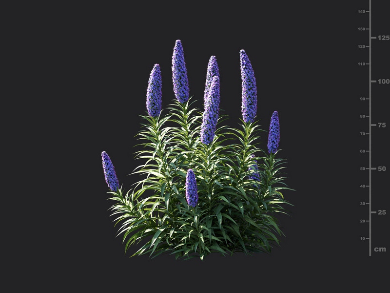 Maxtree - Plant Models Vol.115
