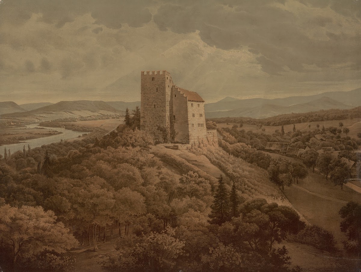 Habsburg 1883