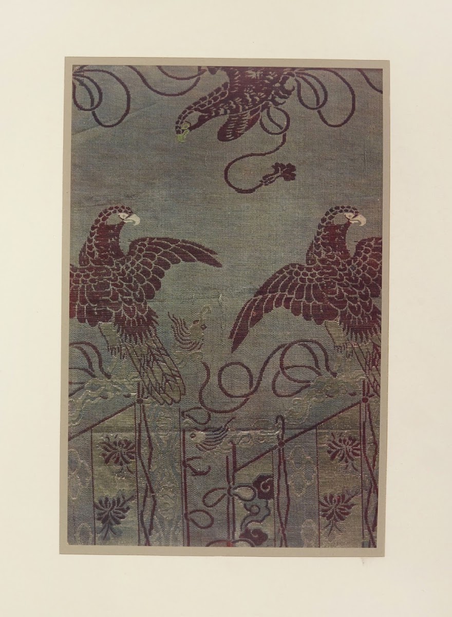 Faucons 1913