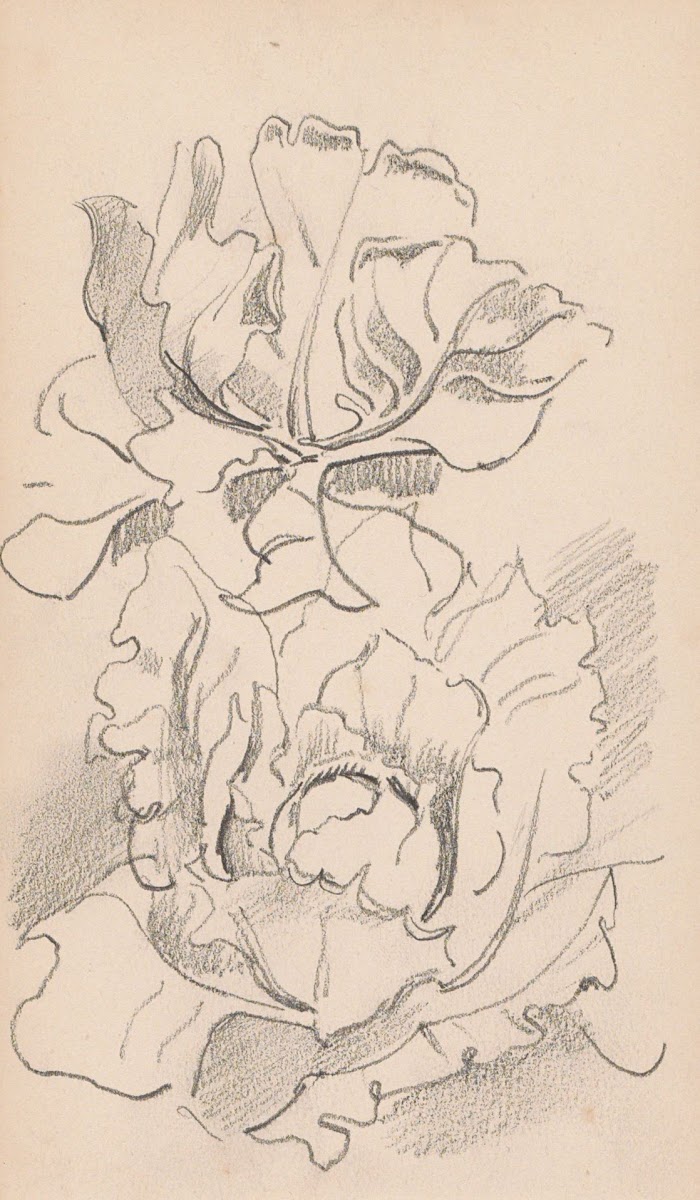 Bloemen 1892   1901