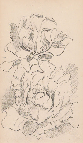Bloemen 1892   1901